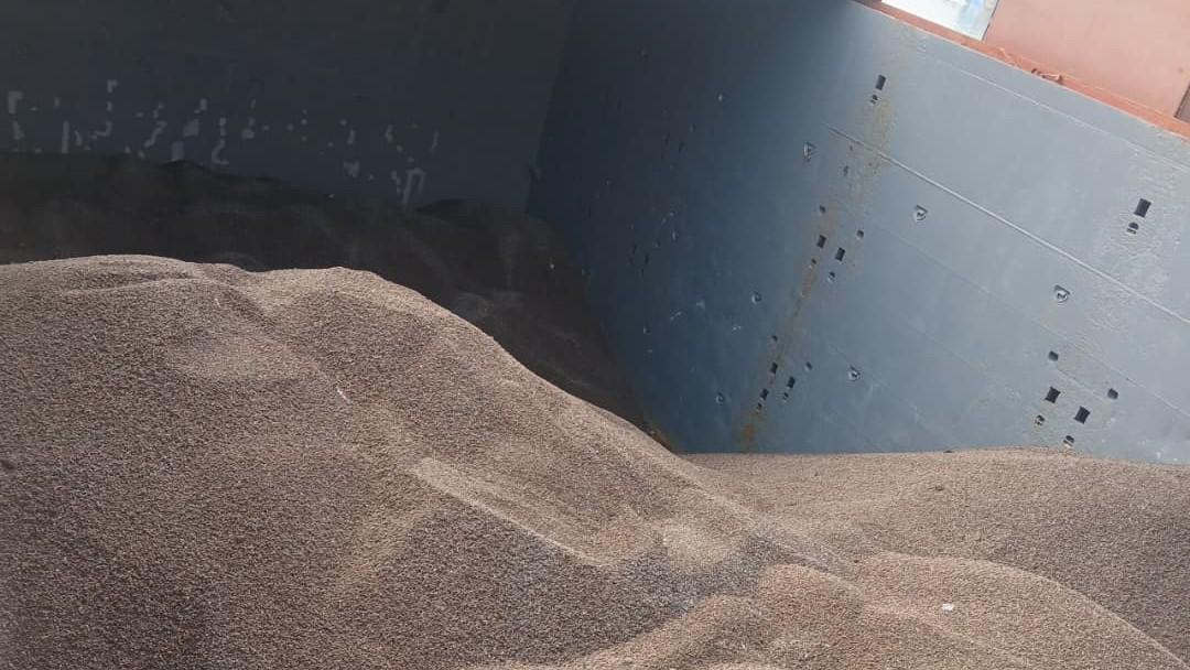 Bulk Cargo Inspection